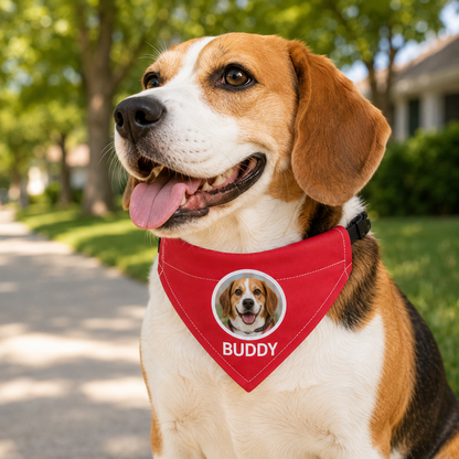 Personalized Pet Photo & Name Bandana Collar – Custom Dog & Cat Scarf