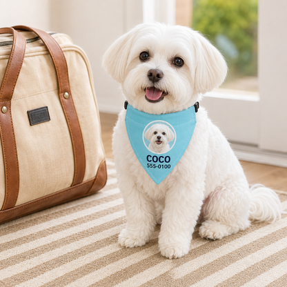 Personalized Pet Photo & Name Bandana Collar – Custom Dog & Cat Scarf