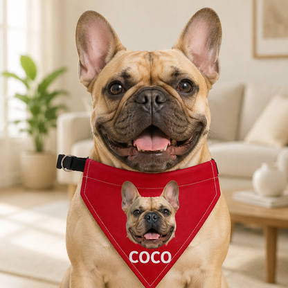 Personalized Pet Photo & Name Bandana Collar – Custom Dog & Cat Scarf