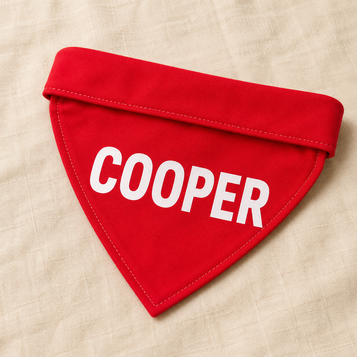 Personalized Pet Name Bandana – Custom Text Dog & Cat Scarf