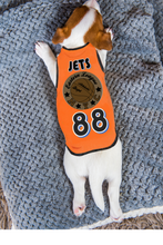 Load image into Gallery viewer, Custom Pet Clothes Tank Shirt Vest with Text Logo Picture and Number
